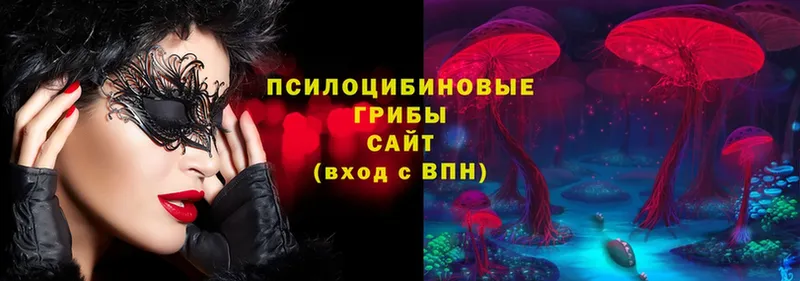 где найти   Вельск  Галлюциногенные грибы MAGIC MUSHROOMS 